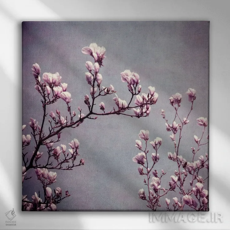 تابلو مگنولیا II اثر کلودیا دروسرت - نمای روبهرو روی دیوار