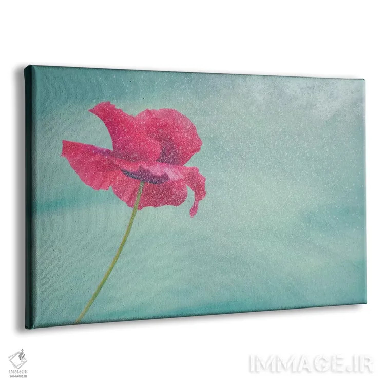 تابلو گل شقایق II (نام آلمانی) اثر کلودیا دروسرت - نمای پرسپکتیو محصول