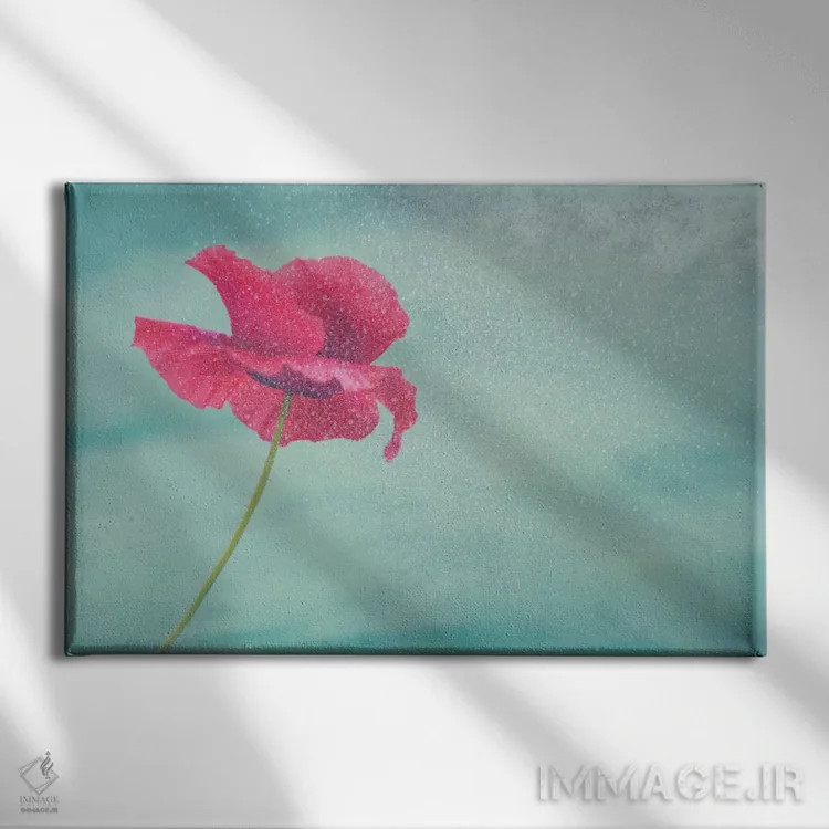 تابلو گل شقایق II (نام آلمانی) اثر کلودیا دروسرت - نمای روبهرو روی دیوار