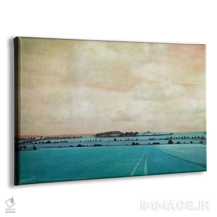 تابلو روز من II اثر کلودیا دروسرت - نمای پرسپکتیو محصول