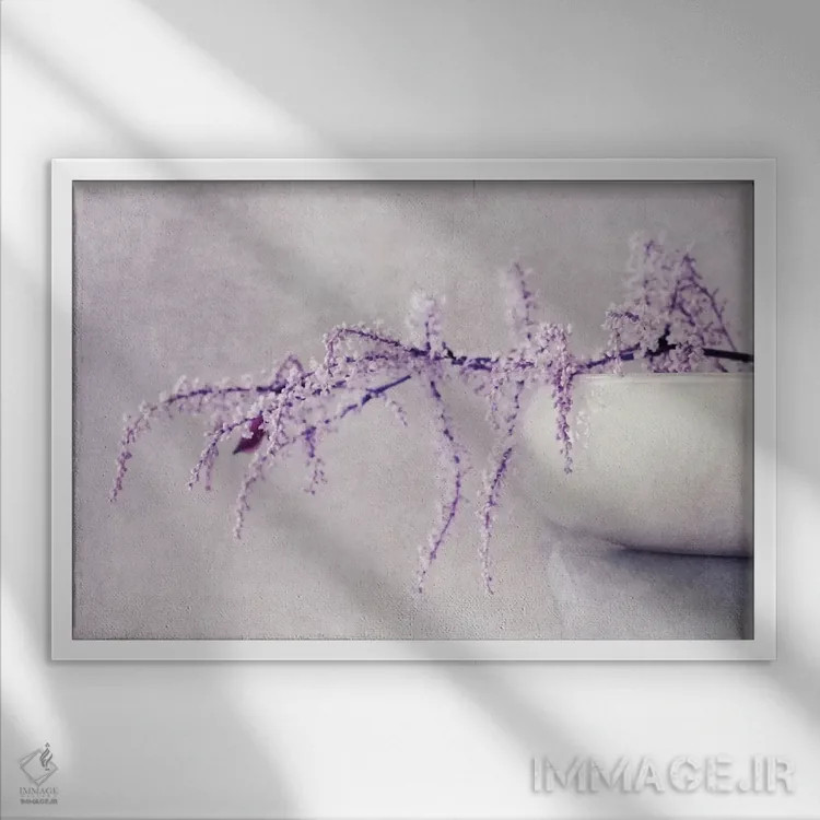 تابلو آرامش (اسم فرانسوی) اثر کلودیا دروسرت - نمای قابدار سفید