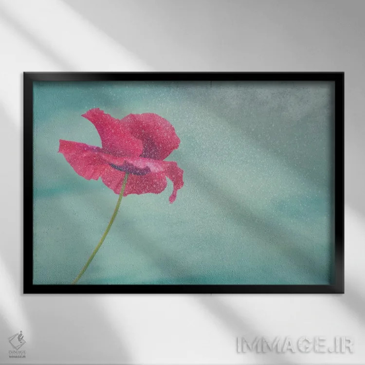 تابلو گل شقایق II (نام آلمانی) اثر کلودیا دروسرت - نمای قابدار مشکی