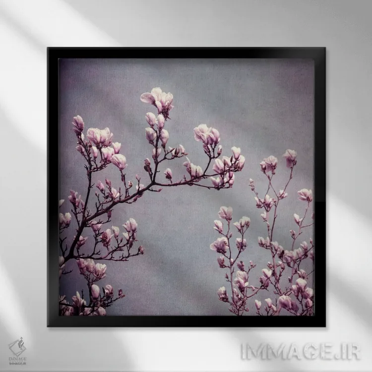 تابلو مگنولیا II اثر کلودیا دروسرت - نمای قابدار مشکی