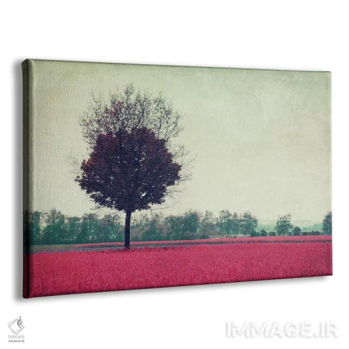 تابلو روز من VIII اثر کلودیا دروسرت - نمای پرسپکتیو محصول