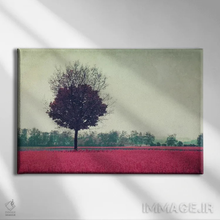 تابلو روز من VIII اثر کلودیا دروسرت - نمای روبهرو روی دیوار