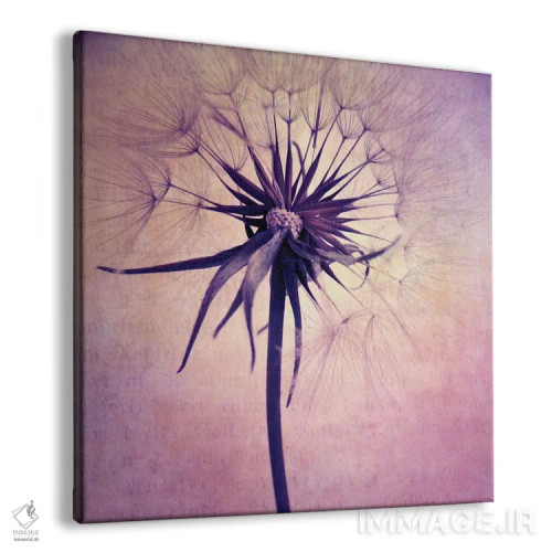 تابلو گل قاصدک II (نام آلمانی) اثر کلودیا دروسرت - نمای پرسپکتیو محصول