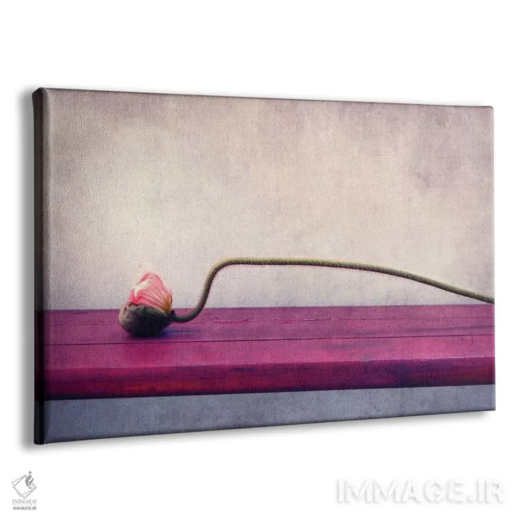 تابلو طبیعت بیجان شقایق اثر کلودیا دروسرت - نمای پرسپکتیو محصول