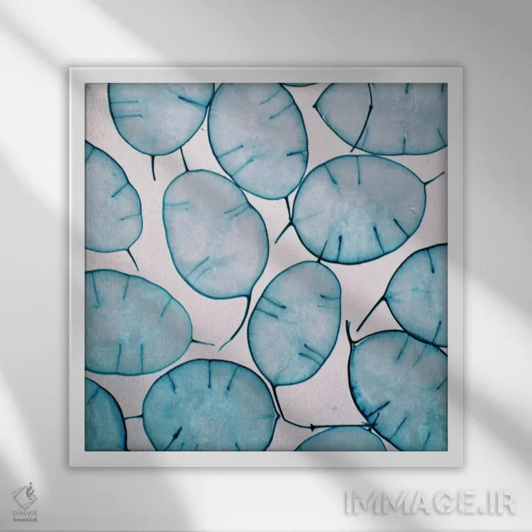 تابلو دوشنبه (نام ایتالیایی) اثر کلودیا دروسرت - نمای قابدار سفید