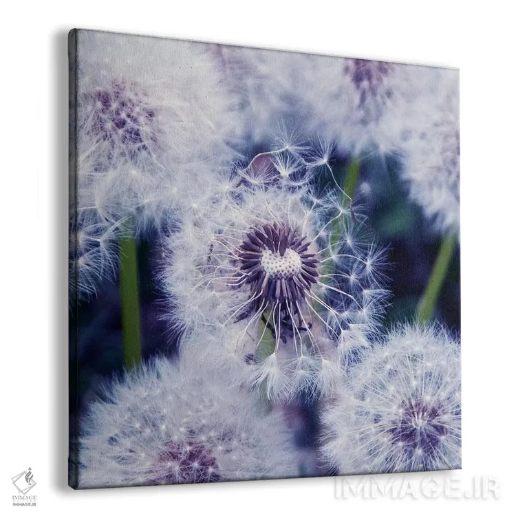 تابلو گلهای قاصدک (نام آلمانی) اثر کلودیا دروسرت - نمای پرسپکتیو محصول