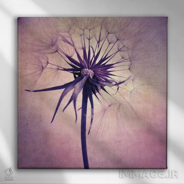 تابلو گل قاصدک II (نام آلمانی) اثر کلودیا دروسرت - نمای روبهرو روی دیوار