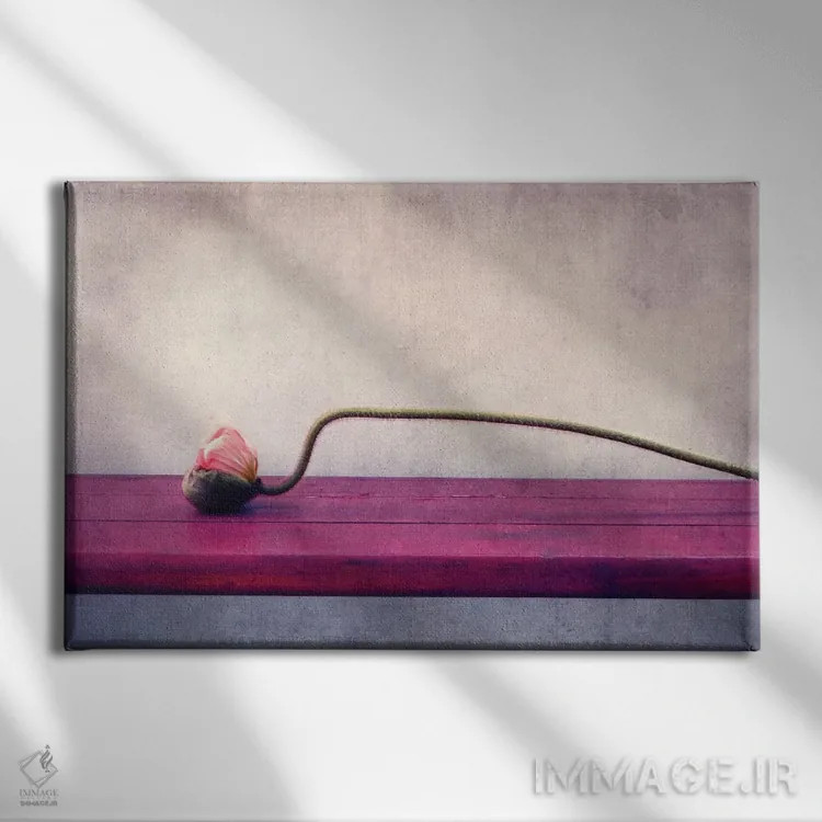 تابلو طبیعت بیجان شقایق اثر کلودیا دروسرت - نمای روبهرو روی دیوار