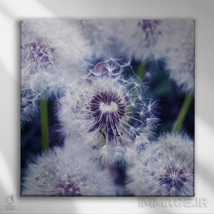 تابلو گلهای قاصدک (نام آلمانی) اثر کلودیا دروسرت - نمای روبهرو روی دیوار