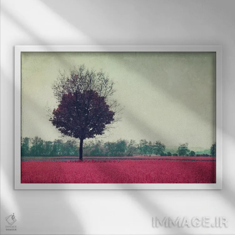 تابلو روز من VIII اثر کلودیا دروسرت - نمای قابدار سفید