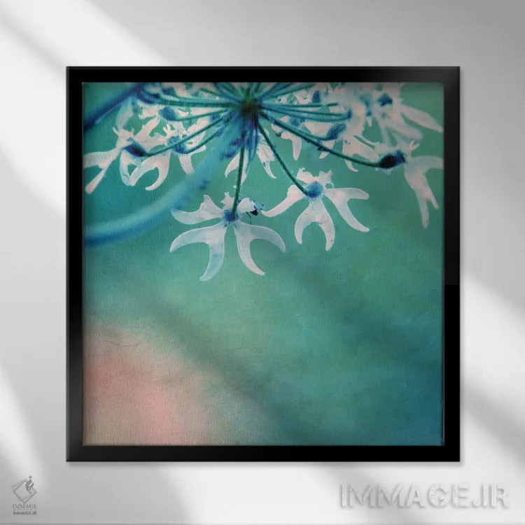 تابلو روز من IX اثر کلودیا دروسرت - نمای قابدار مشکی