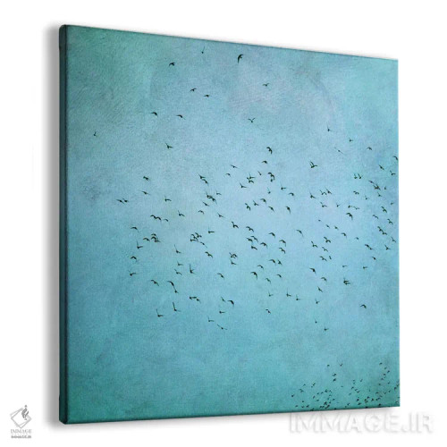 تابلو پرندگان IV اثر کلودیا دروسرت - نمای پرسپکتیو محصول