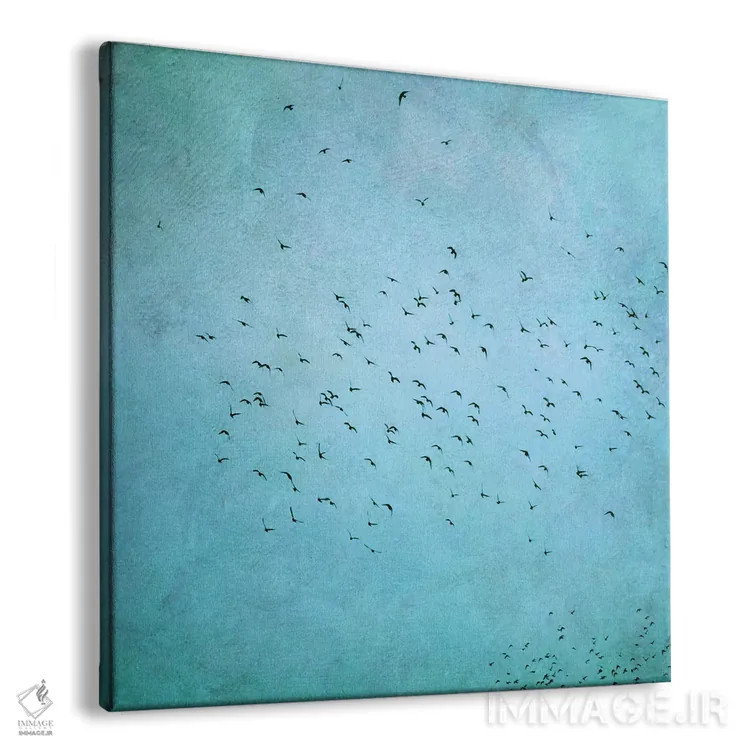 تابلو پرندگان IV اثر کلودیا دروسرت - نمای پرسپکتیو محصول