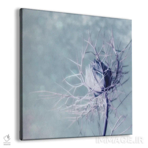 تابلو زن مجرد اثر کلودیا دروسرت - نمای پرسپکتیو محصول