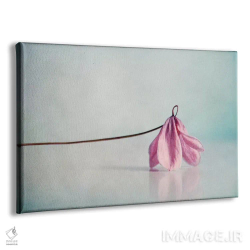تابلو رز اثر کلودیا دروسرت - نمای پرسپکتیو محصول