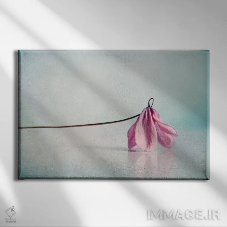 تابلو رز اثر کلودیا دروسرت - نمای روبهرو روی دیوار