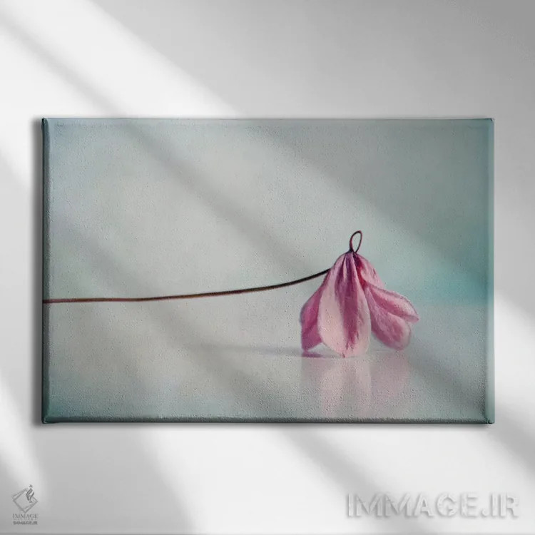 تابلو رز اثر کلودیا دروسرت - نمای روبهرو روی دیوار