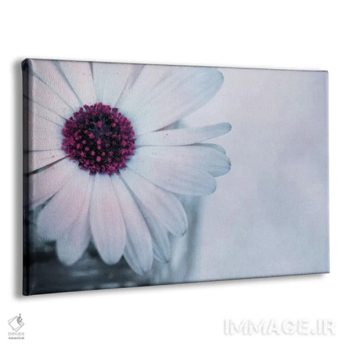 تابلو سین (نام خاص) اثر کلودیا دروسرت - نمای پرسپکتیو محصول