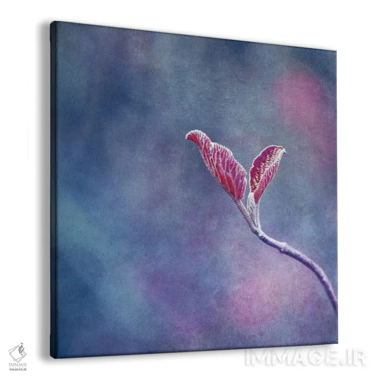 تابلو دو اثر کلودیا دروسرت - نمای پرسپکتیو محصول