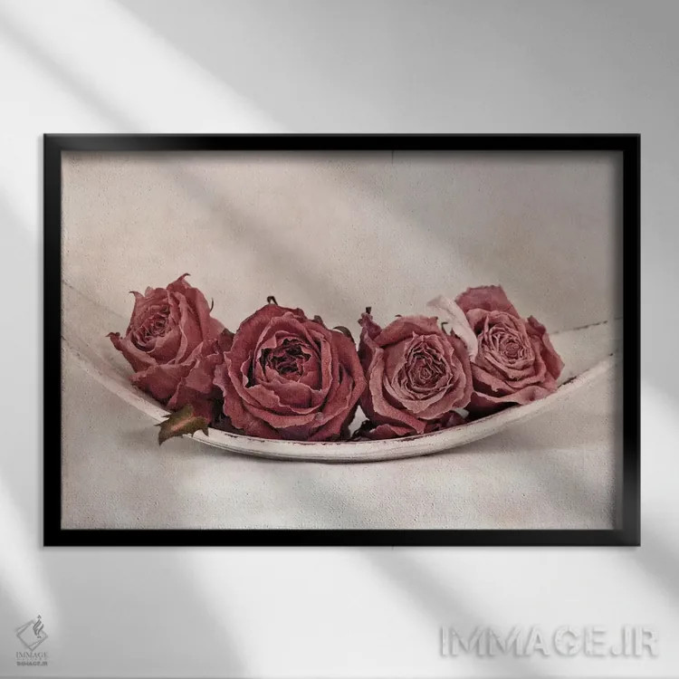 تابلو کوارتت گل رز اثر کلودیا دروسرت - نمای قابدار مشکی