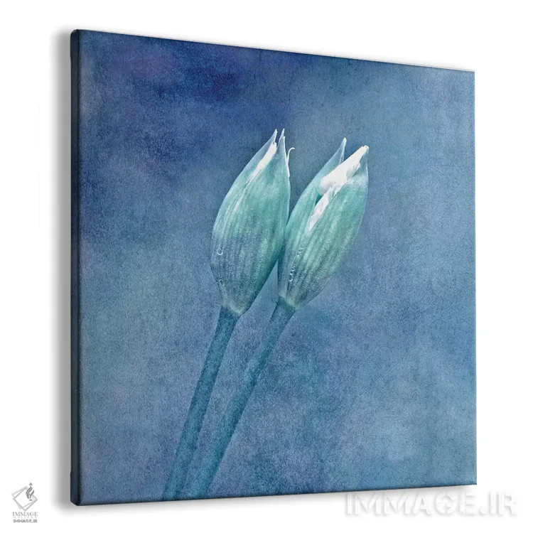 تابلو سیر وحشی اثر کلودیا دروسرت - نمای پرسپکتیو محصول