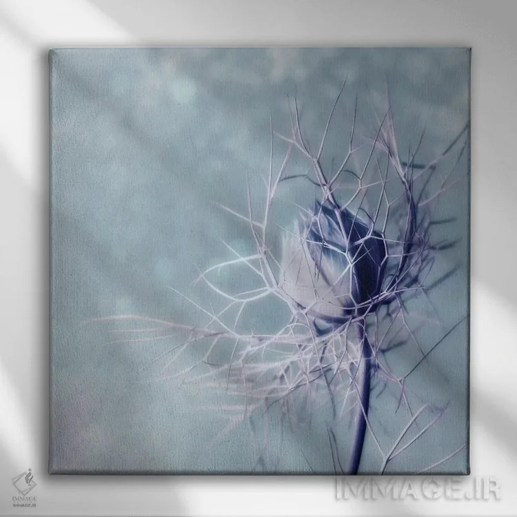 تابلو زن مجرد اثر کلودیا دروسرت - نمای روبهرو روی دیوار