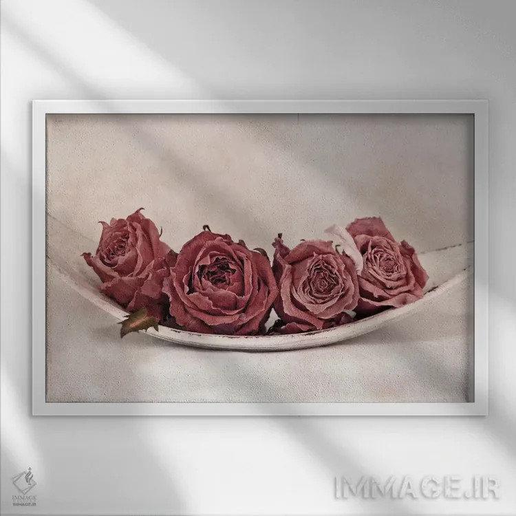 تابلو کوارتت گل رز اثر کلودیا دروسرت - نمای قابدار سفید