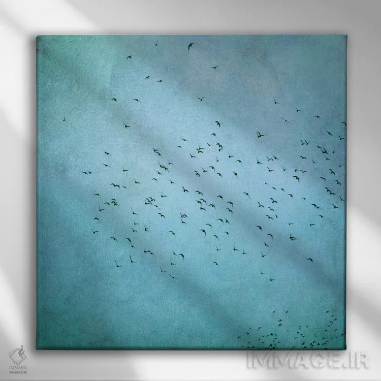 تابلو پرندگان IV اثر کلودیا دروسرت - نمای روبهرو روی دیوار