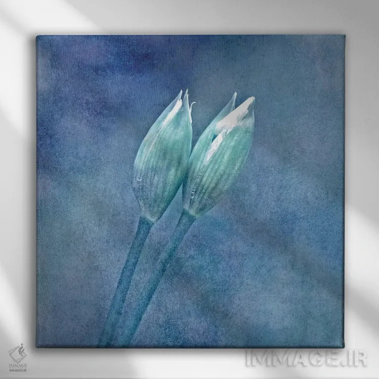 تابلو سیر وحشی اثر کلودیا دروسرت - نمای روبهرو روی دیوار