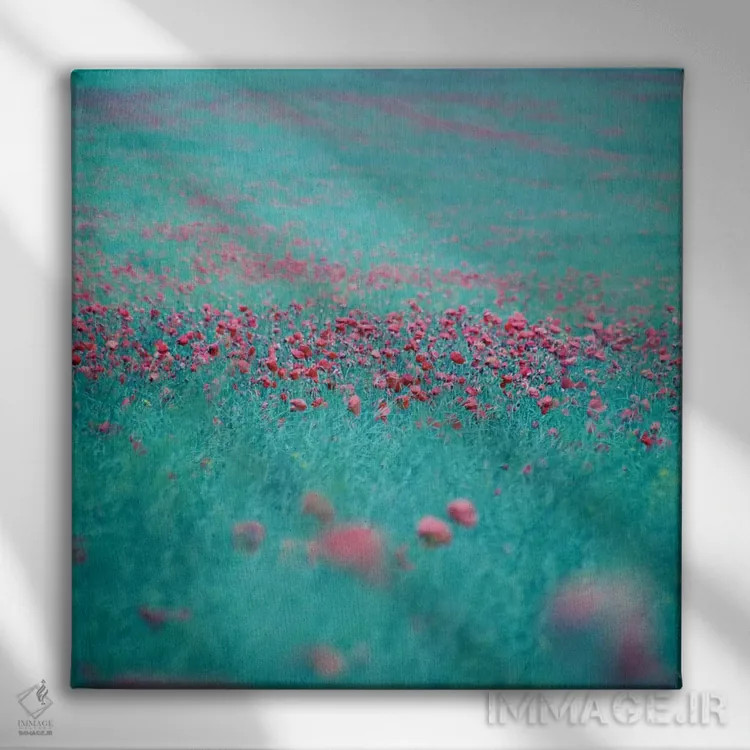 تابلو اندیشههای تابستانی اثر کلودیا دروسرت - نمای روبهرو روی دیوار