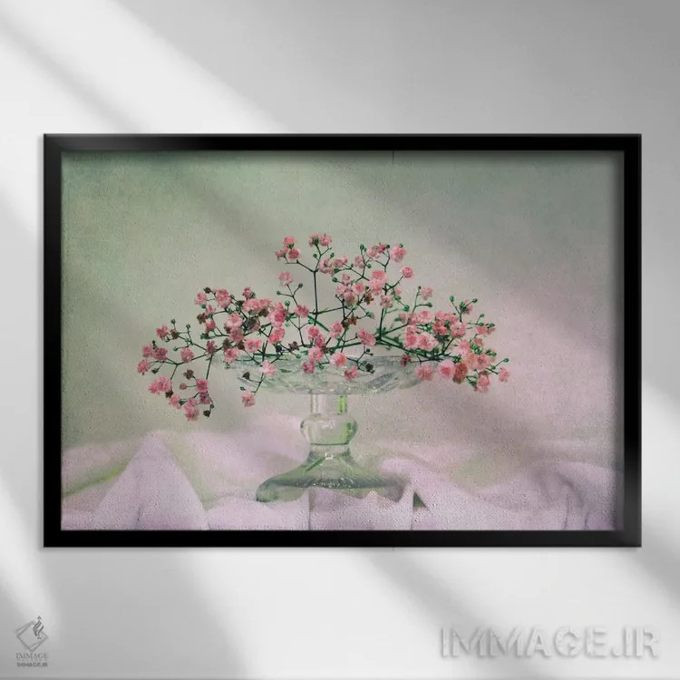 تابلو عروسک پشتپرده (گل ژیپسوفیلا، نام آلمانی) اثر کلودیا دروسرت - نمای قابدار مشکی