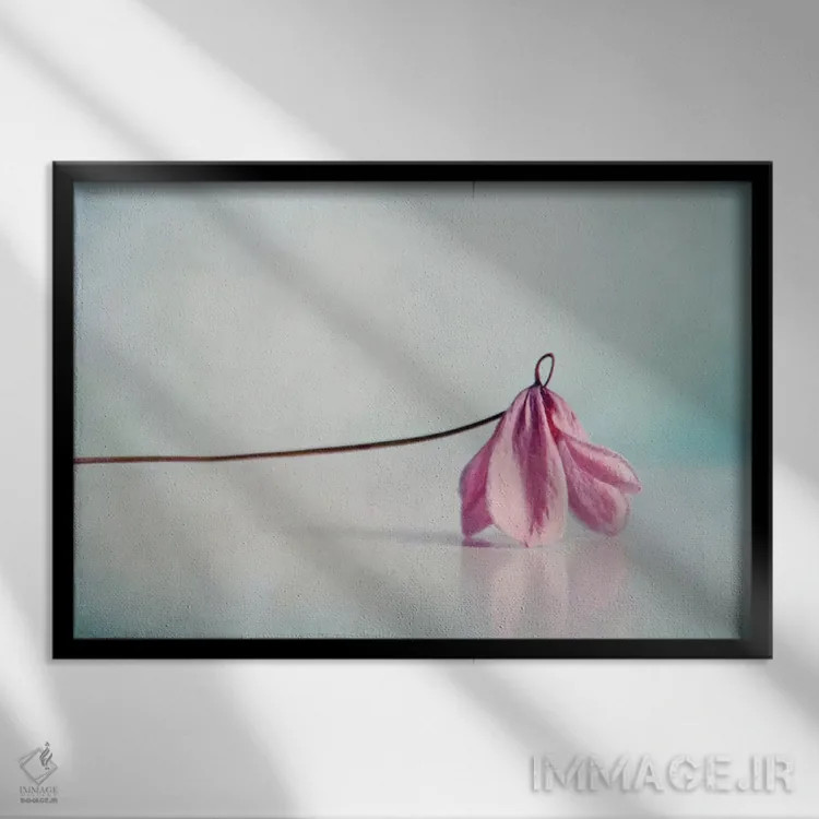 تابلو رز اثر کلودیا دروسرت - نمای قابدار مشکی