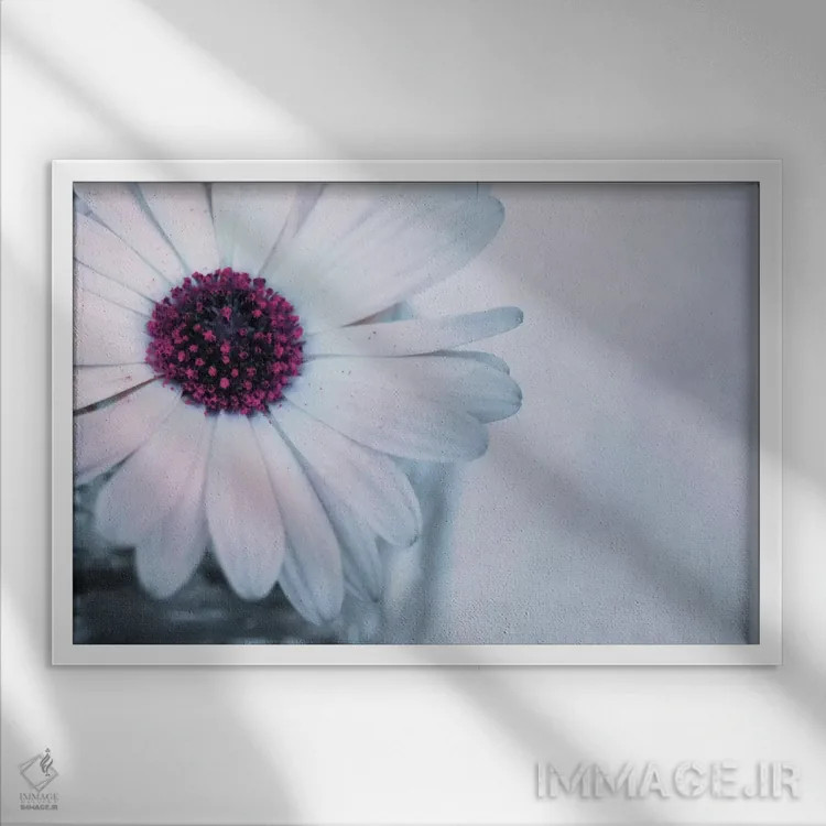 تابلو سین (نام خاص) اثر کلودیا دروسرت - نمای قابدار سفید