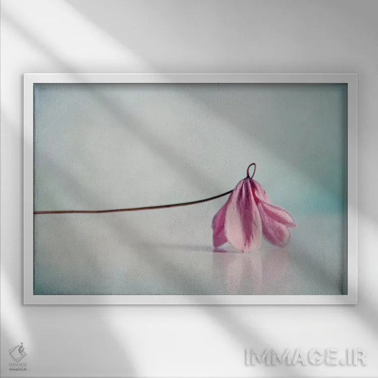 تابلو رز اثر کلودیا دروسرت - نمای قابدار سفید