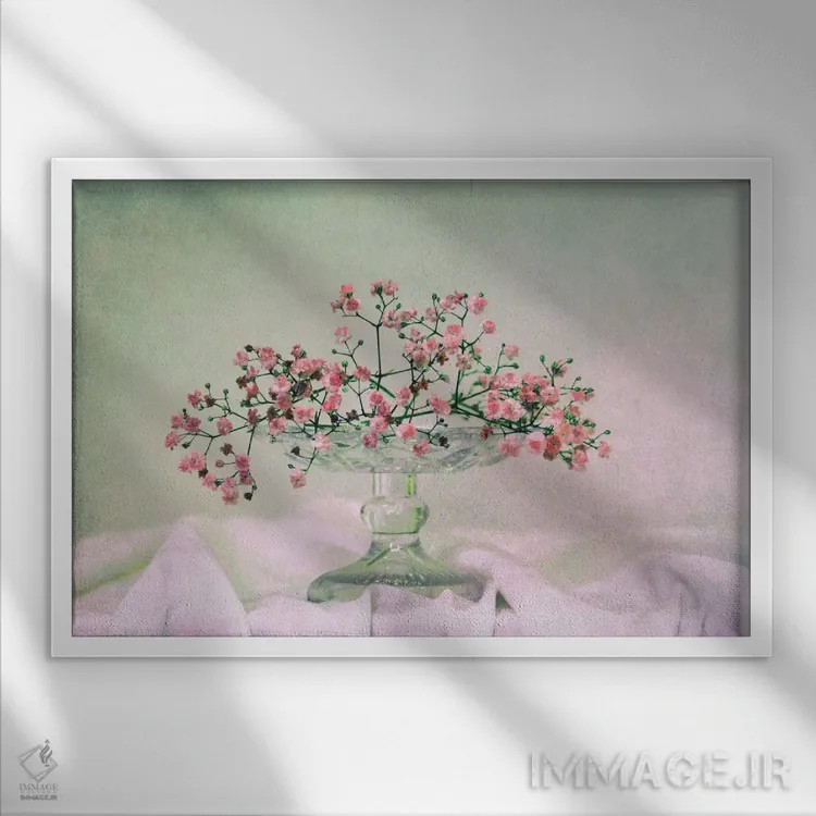 تابلو عروسک پشتپرده (گل ژیپسوفیلا، نام آلمانی) اثر کلودیا دروسرت - نمای قابدار سفید