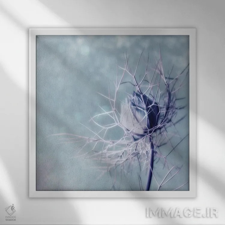 تابلو زن مجرد اثر کلودیا دروسرت - نمای قابدار سفید