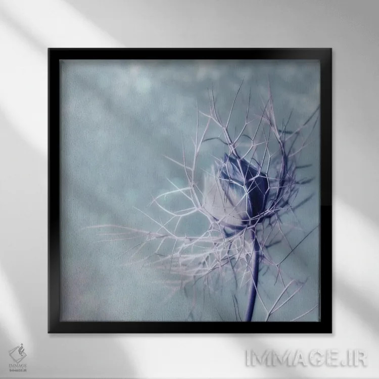 تابلو زن مجرد اثر کلودیا دروسرت - نمای قابدار مشکی