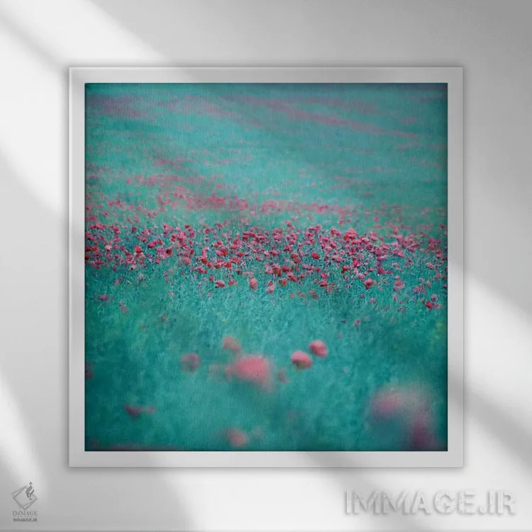 تابلو اندیشههای تابستانی اثر کلودیا دروسرت - نمای قابدار سفید