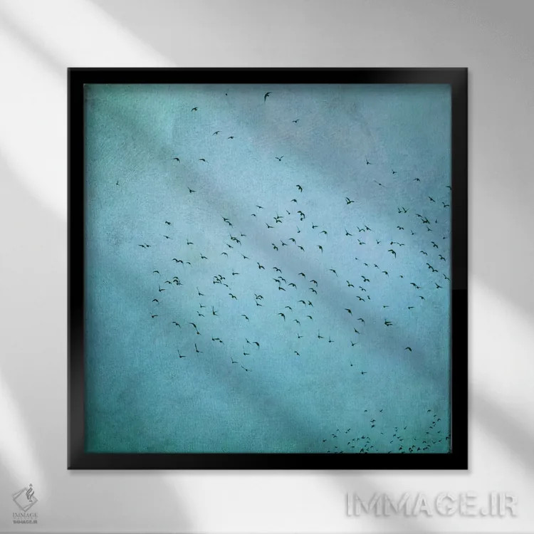 تابلو پرندگان IV اثر کلودیا دروسرت - نمای قابدار مشکی