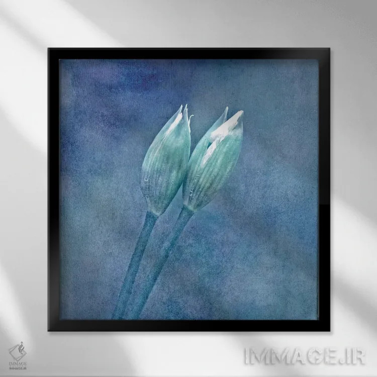 تابلو سیر وحشی اثر کلودیا دروسرت - نمای قابدار مشکی