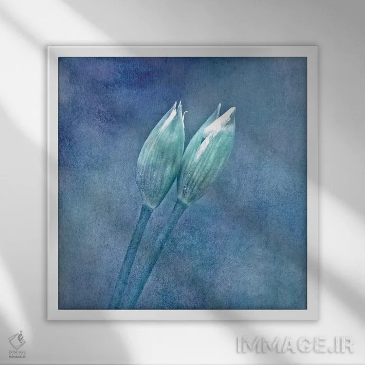 تابلو سیر وحشی اثر کلودیا دروسرت - نمای قابدار سفید