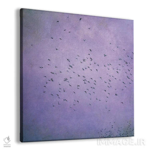 تابلو پرندگان V اثر کلودیا دروسرت - نمای پرسپکتیو محصول