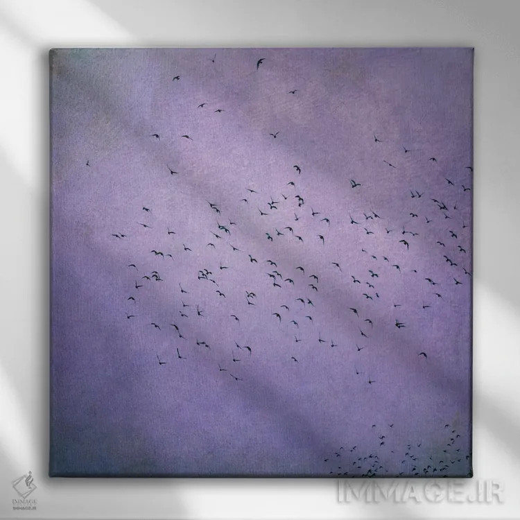 تابلو پرندگان V اثر کلودیا دروسرت - نمای روبهرو روی دیوار