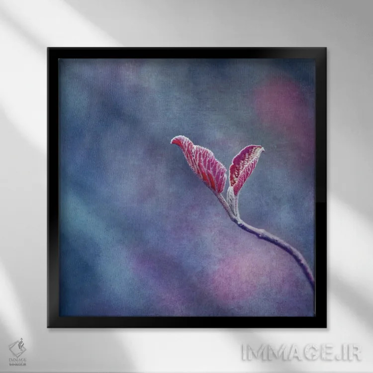 تابلو دو اثر کلودیا دروسرت - نمای قابدار مشکی