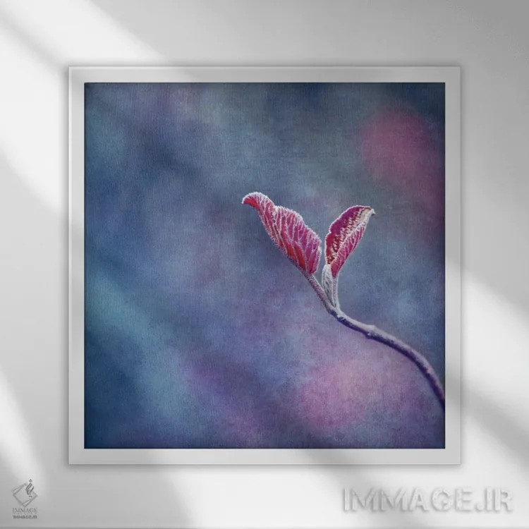 تابلو دو اثر کلودیا دروسرت - نمای قابدار سفید