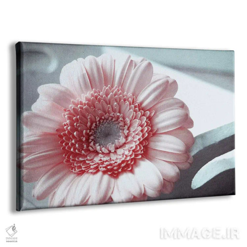 تابلو رز اثر کلودیا دروسرت - نمای پرسپکتیو محصول