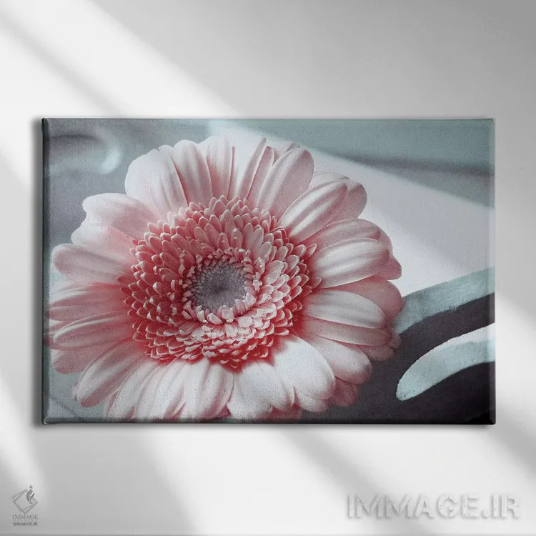 تابلو رز اثر کلودیا دروسرت - نمای روبهرو روی دیوار